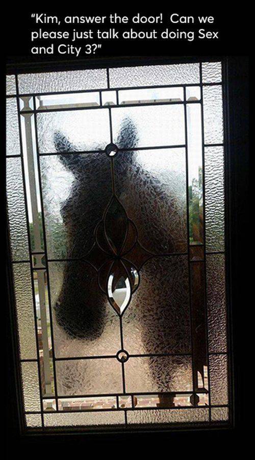 daily picdump weekend edition 68 pics 4.html - 68 HD Photos | Premium Gallery 2017