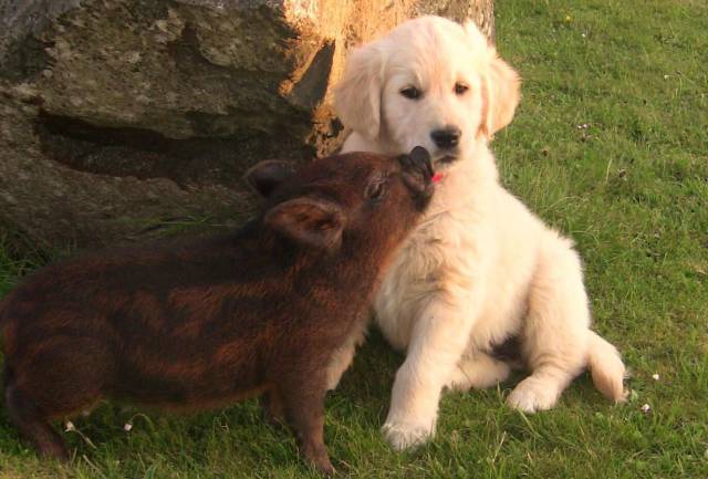 daily picdump 104 pics 7.html - 104 HD Photos | Premium Gallery 2017