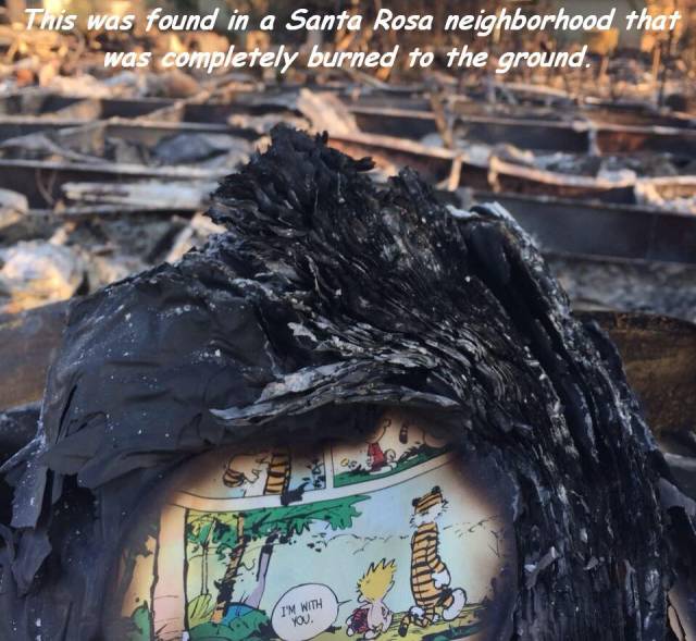 daily picdump 104 pics 7.html - 104 HD Photos | Premium Gallery 2017