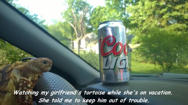 daily picdump 104 pics 7.html - 104 HD Photos | Premium Gallery 2017