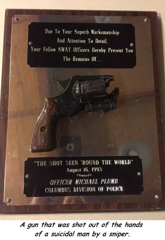 daily picdump 104 pics 7.html - 104 HD Photos | Premium Gallery 2017