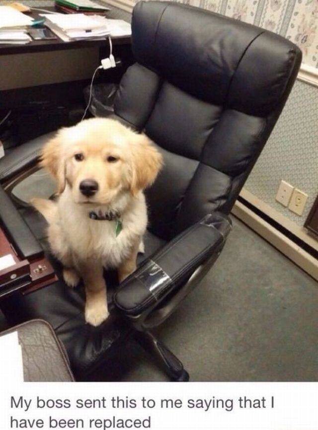 daily picdump 104 pics 7.html - 104 HD Photos | Premium Gallery 2017