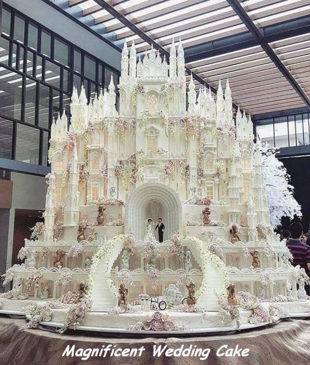 daily picdump 104 pics 7.html - 104 HD Photos | Premium Gallery 2017