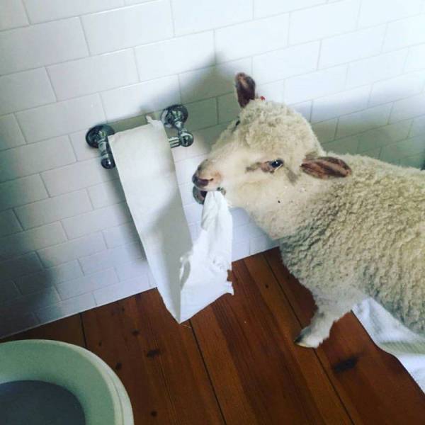 daily picdump 106 pics 41.html - 106 HD Photos | Premium Gallery 2017