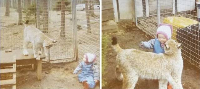 daily picdump 106 pics 41.html - 106 HD Photos | Premium Gallery 2017