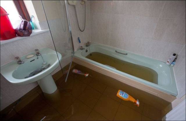 daily picdump 106 pics 41.html - 106 HD Photos | Premium Gallery 2017