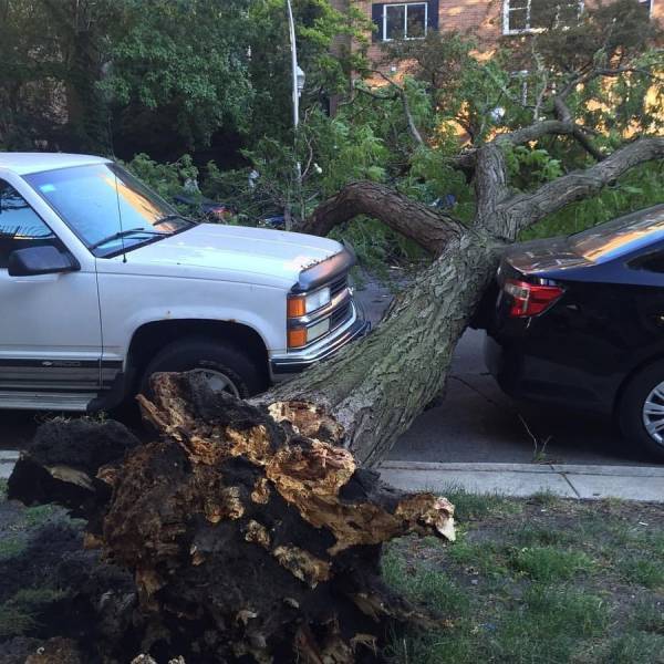 daily picdump 106 pics 41.html - 106 HD Photos | Premium Gallery 2017