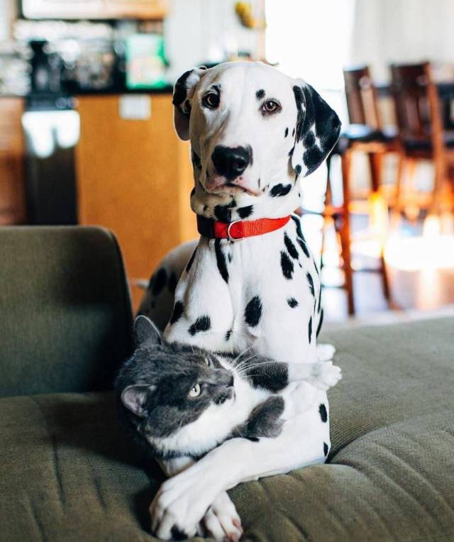 daily picdump 106 pics 41.html - 106 HD Photos | Premium Gallery 2017