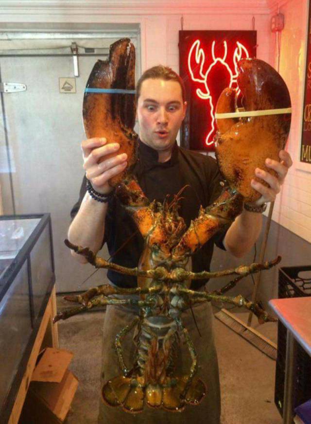 daily picdump 106 pics 41.html - 106 HD Photos | Premium Gallery 2017