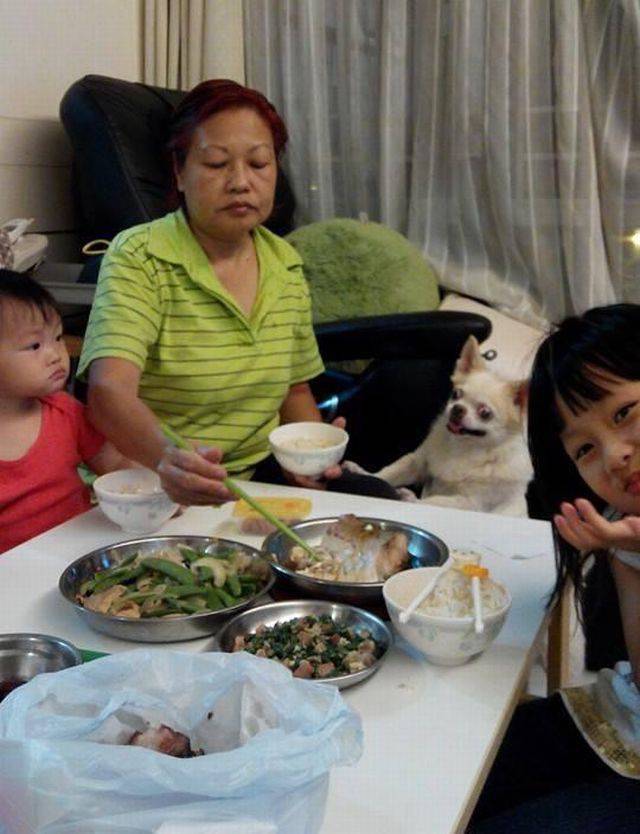 daily picdump 106 pics 41.html - 106 HD Photos | Premium Gallery 2017