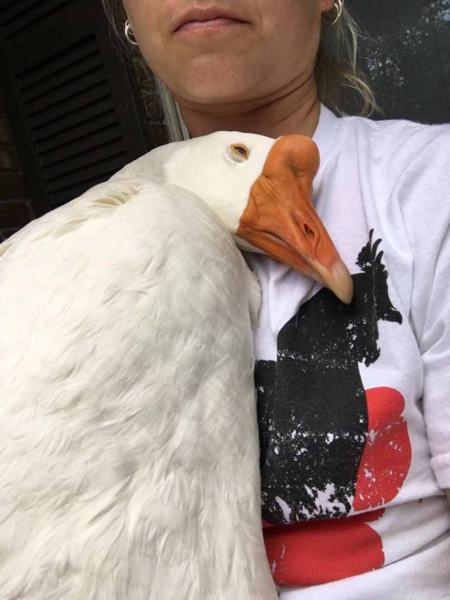 daily picdump 106 pics 41.html - 106 HD Photos | Premium Gallery 2017