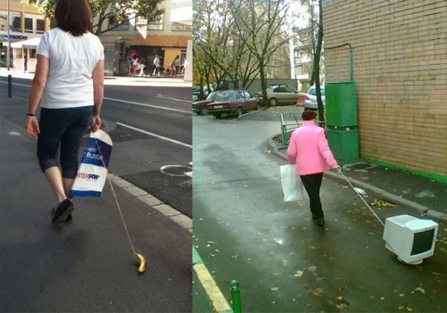 Hard-to-explain WTF Photos