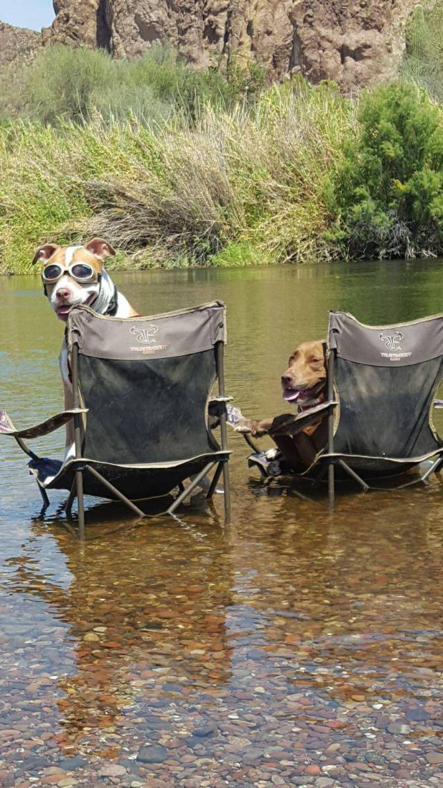 morning picdump 51 pics 14.html - 51 HD Photos | Premium Gallery 2017