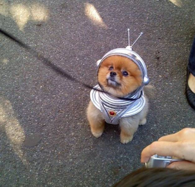 daily picdump 96 pics 32.html - 96 HD Photos | Premium Gallery 2017