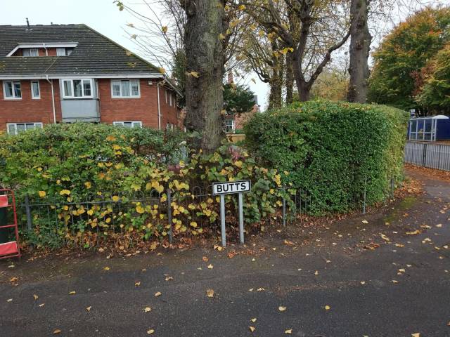 daily picdump 96 pics 32.html - 96 HD Photos | Premium Gallery 2017