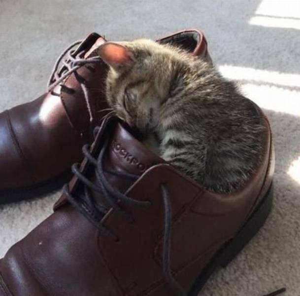 daily picdump 96 pics 32.html - 96 HD Photos | Premium Gallery 2017