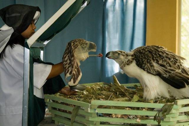 daily picdump 96 pics 32.html - 96 HD Photos | Premium Gallery 2017