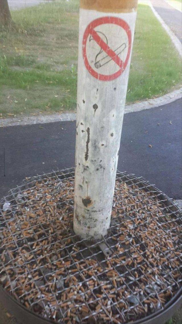 daily picdump 96 pics 32.html - 96 HD Photos | Premium Gallery 2017