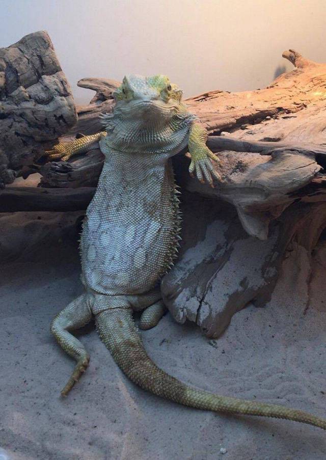 daily picdump 96 pics 32.html - 96 HD Photos | Premium Gallery 2017