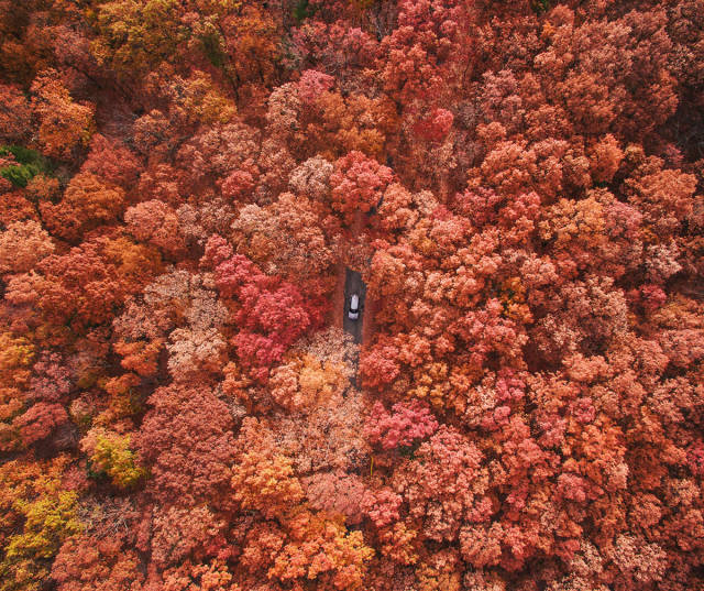 morning picdump 53 pics 23.html - 53 HD Photos | Premium Gallery 2017