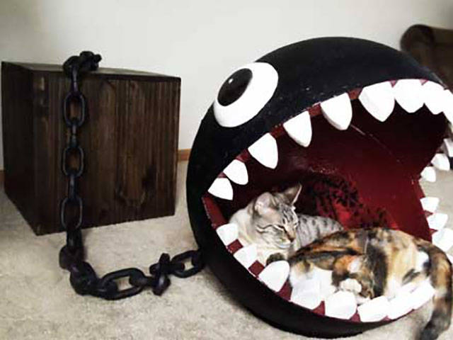 morning picdump 53 pics 23.html - 53 HD Photos | Premium Gallery 2017