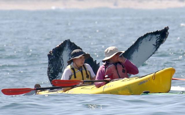 daily picdump 93 pics 38.html - 93 HD Photos | Premium Gallery 2017