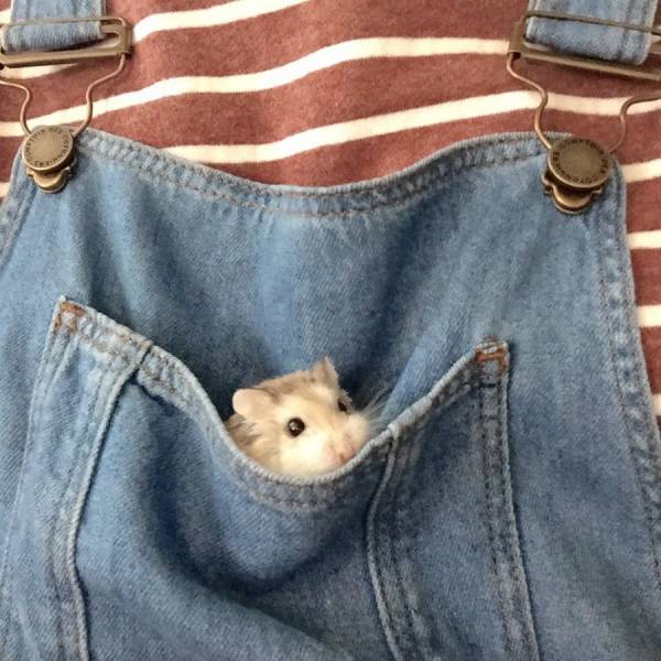 daily picdump 93 pics 38.html - 93 HD Photos | Premium Gallery 2017