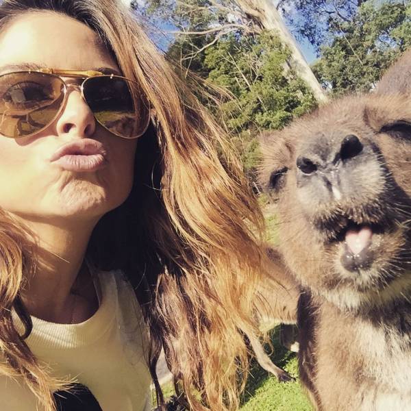 daily picdump 93 pics 38.html - 93 HD Photos | Premium Gallery 2017