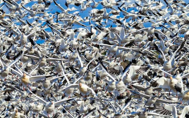 daily picdump 93 pics 38.html - 93 HD Photos | Premium Gallery 2017