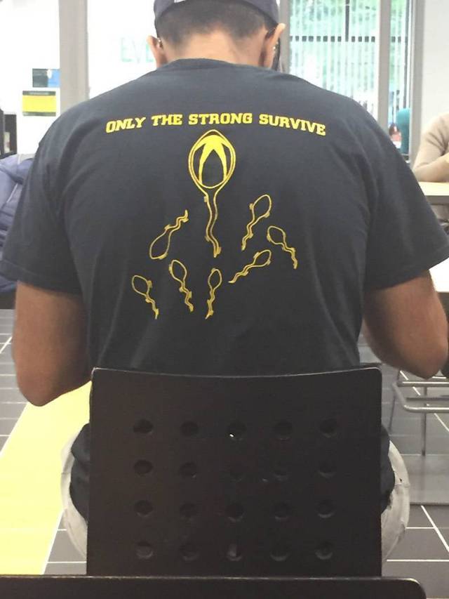 daily picdump 93 pics 38.html - 93 HD Photos | Premium Gallery 2017