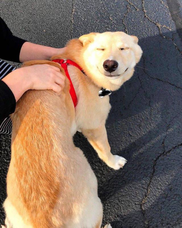 daily picdump 93 pics 38.html - 93 HD Photos | Premium Gallery 2017