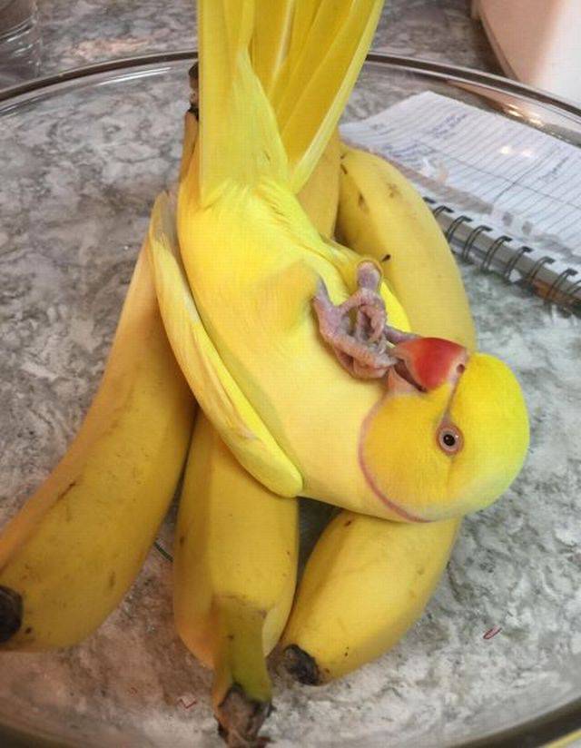 daily picdump 93 pics 38.html - 93 HD Photos | Premium Gallery 2017