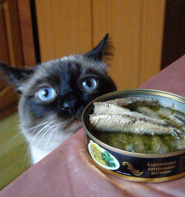 daily picdump 93 pics 38.html - 93 HD Photos | Premium Gallery 2017