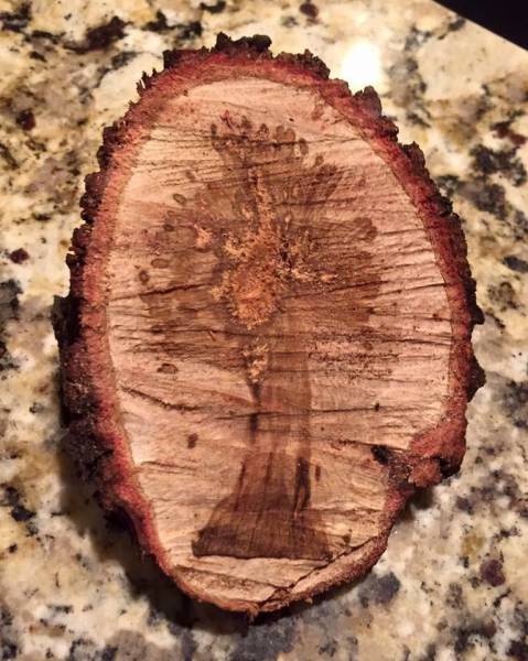 morning picdump 51 pics 14.html - 51 HD Photos | Premium Gallery 2017