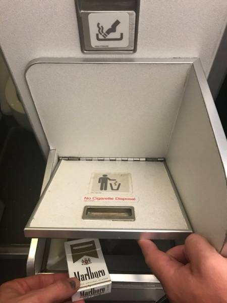 Anarchy Is Reigning In The First World