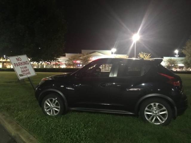 Anarchy Is Reigning In The First World