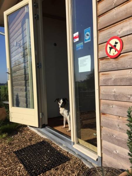 Anarchy Is Reigning In The First World