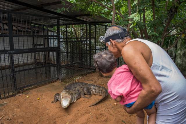 daily picdump 100 pics 35.html - 100 HD Photos | Premium Gallery 2017