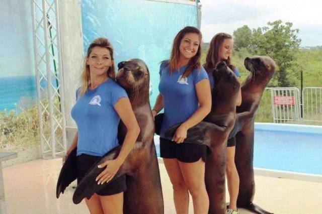 daily picdump 100 pics 35.html - 100 HD Photos | Premium Gallery 2017