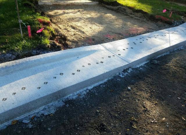 daily picdump 100 pics 35.html - 100 HD Photos | Premium Gallery 2017