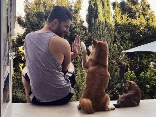 daily picdump 100 pics 35.html - 100 HD Photos | Premium Gallery 2017