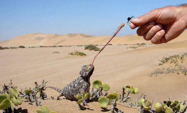 daily picdump 100 pics 35.html - 100 HD Photos | Premium Gallery 2017