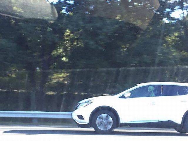 daily picdump 100 pics 35.html - 100 HD Photos | Premium Gallery 2017