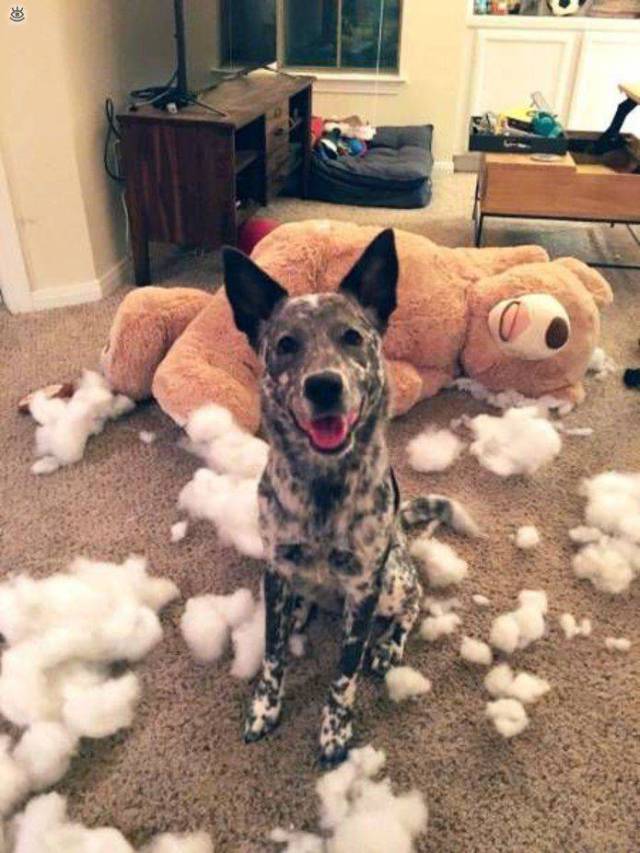 daily picdump 100 pics 35.html - 100 HD Photos | Premium Gallery 2017