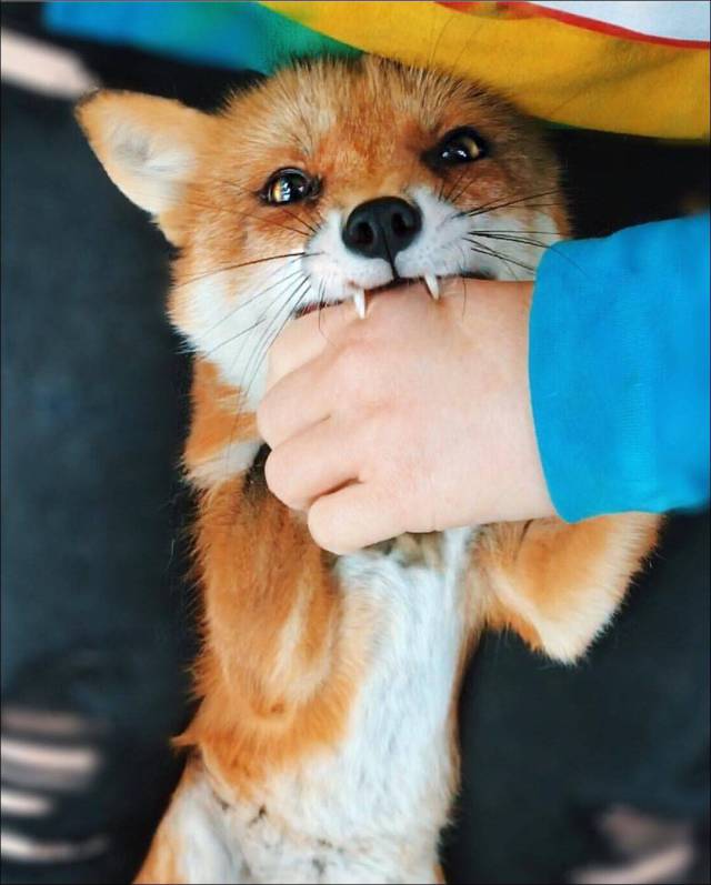 daily picdump 100 pics 35.html - 100 HD Photos | Premium Gallery 2017