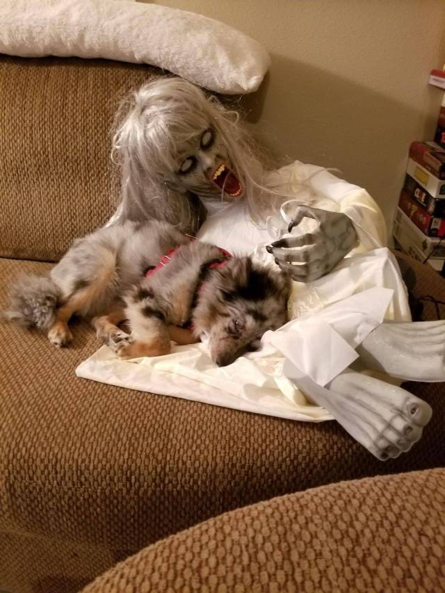 daily picdump 100 pics 35.html - 100 HD Photos | Premium Gallery 2017