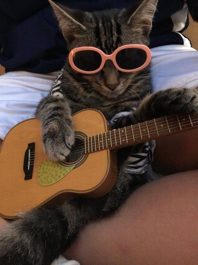 daily picdump 100 pics 35.html - 100 HD Photos | Premium Gallery 2017