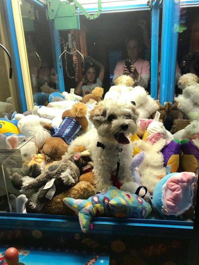 daily picdump 100 pics 35.html - 100 HD Photos | Premium Gallery 2017