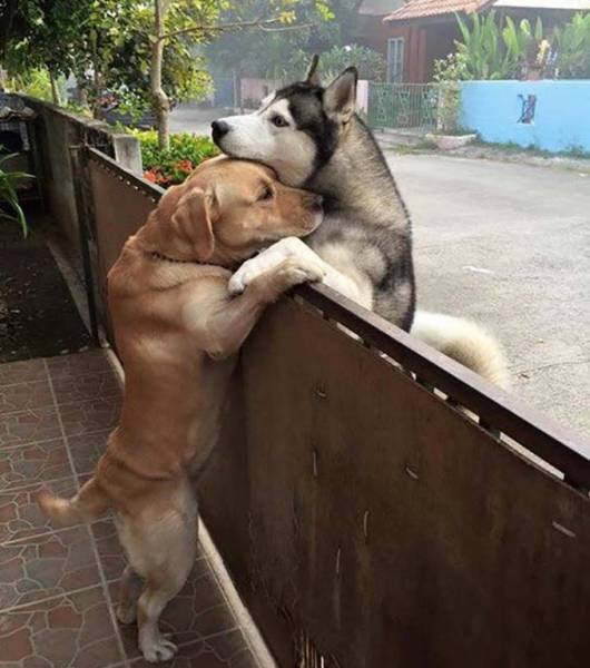 morning picdump 50 pics 2.html - 50 HD Photos | Premium Gallery 2017