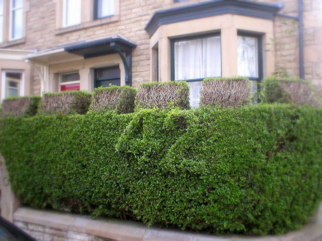 morning picdump 50 pics 2.html - 50 HD Photos | Premium Gallery 2017